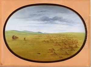 Prairie Dog Village