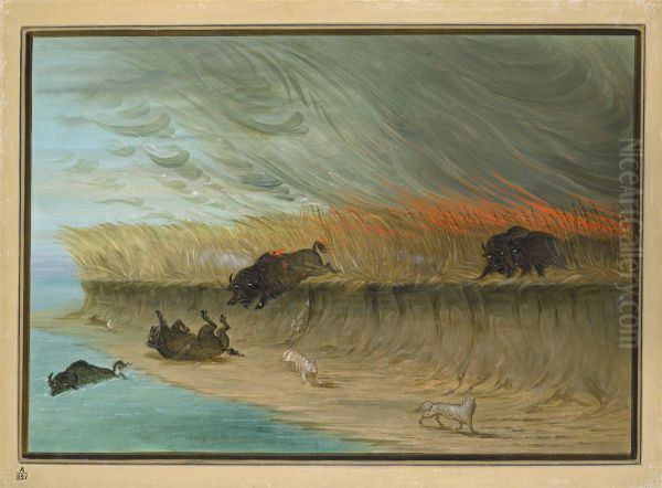 Prairie Meadows Burning - view 1