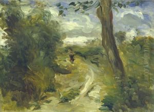 Landscape between Storms