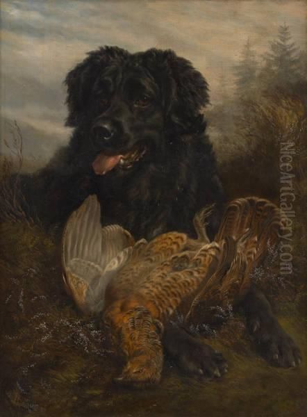 Chien De Chasse Etsa Proie - view 1