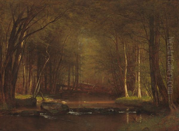 Trout Brook in the Catskills - view 1