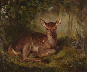 Fawn In A Clearing by Samuel John Carter