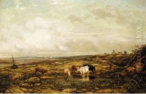 Cattle Watering By The Coast Cattle Watering By The Coast