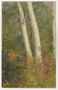 Birch Trees in Autumn by Frederic Edwin Church