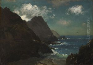 Farallon Islands by Albert Bierstadt
