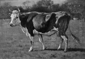 Study of a Cow by Emile Van Marcke De Lumman