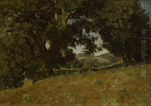 Landscape - view 1