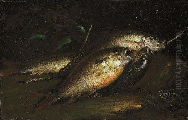Fish - view 1