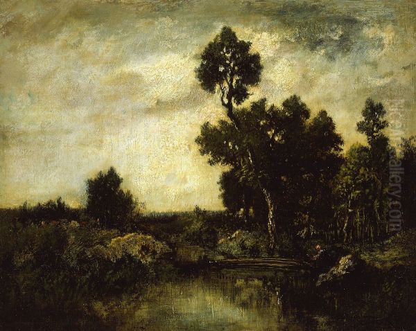 Landscape - view 1