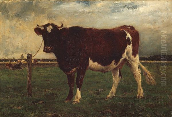 Study of a Cow - view 1