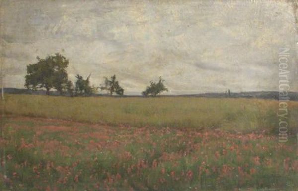 Wheat Field - view 1