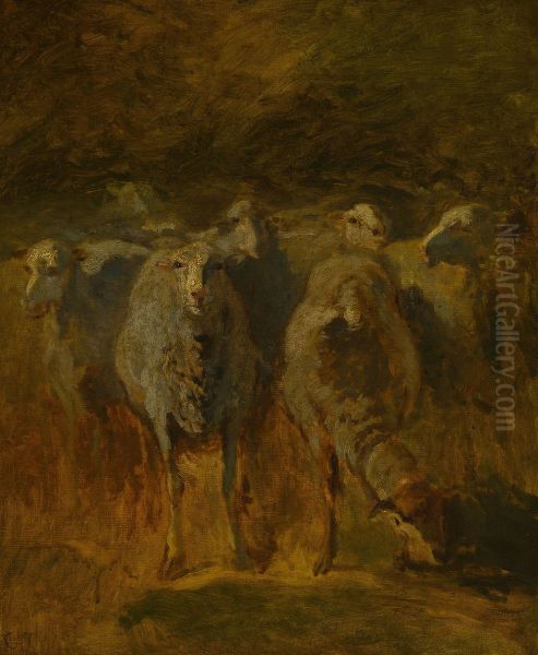Unfinished Study of Sheep - view 1