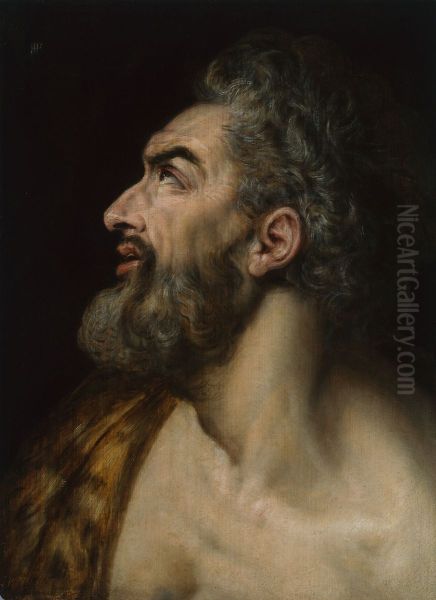 Study Head of a Bearded Man - view 1