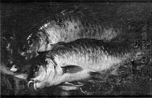 Two Carps on a Kitchen Table - view 1