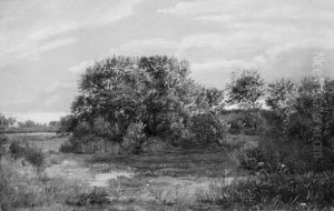 Bog on a Wooded Islet Bog on a Wooded Islet
