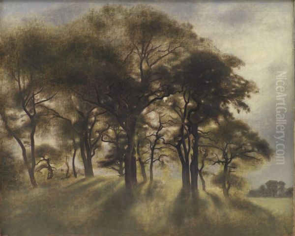 Near Fortunen, Jaegersborg Deer Park, North of Copenhagen - view 1