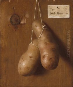 la questione irlandese by De Scott Evans