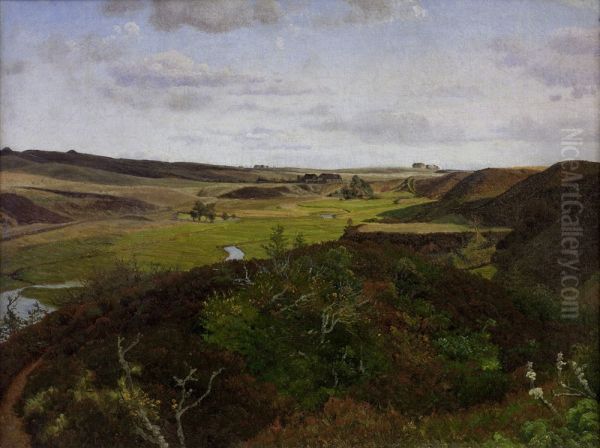 Dollerup Hills near Hald - view 1