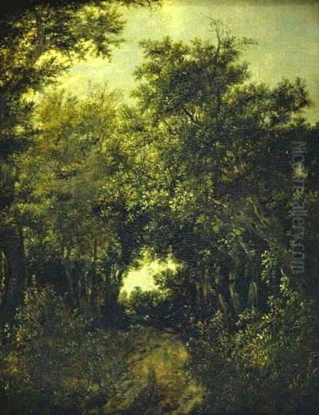Road in an Oak Forest - view 1