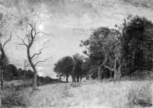 A Moonlit Night by Hallands Vadero by Alfred Wahlberg