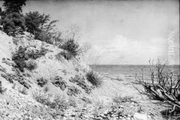 Parti ved Moens strand - view 1