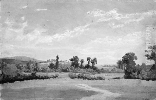 Open Landscape with Low Hills. Summer - view 1