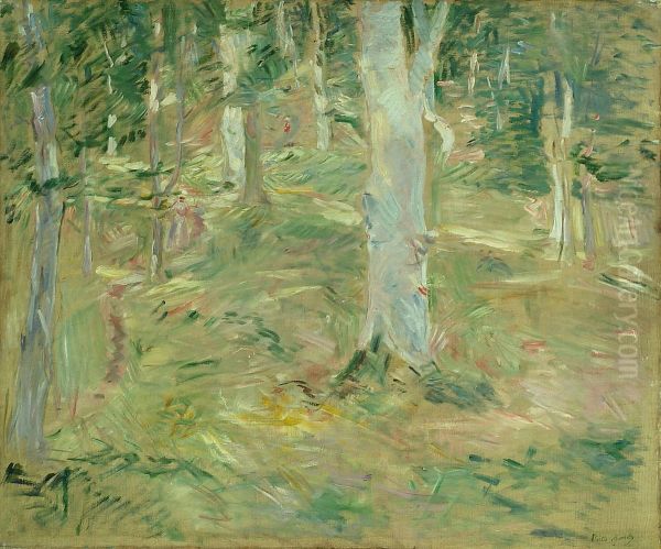Foret de Compiegne - view 1