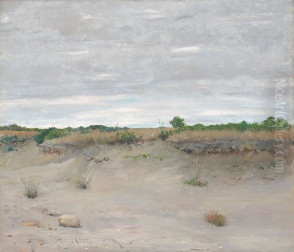 Wind-Swept Sands - view 1