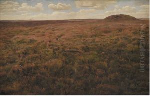 Study of a Moor