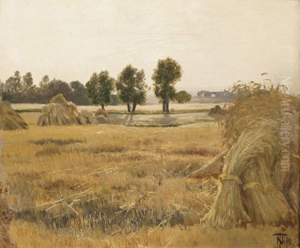 Mark med korntraver - view 1