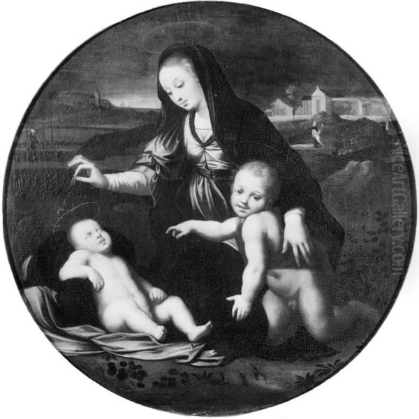 Virgin and Child with the Infant St John - view 1