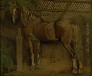 Seksten-arig hingst af Knabstrup-racen