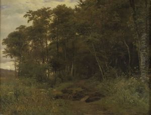 An alder thicket An alder thicket