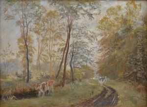 The River Sorteaa near Mejlgaard Manor, Jutland