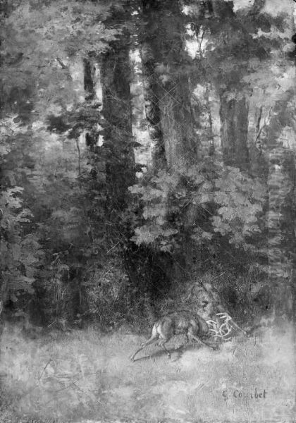 Fighting Stags in a Forest - view 1