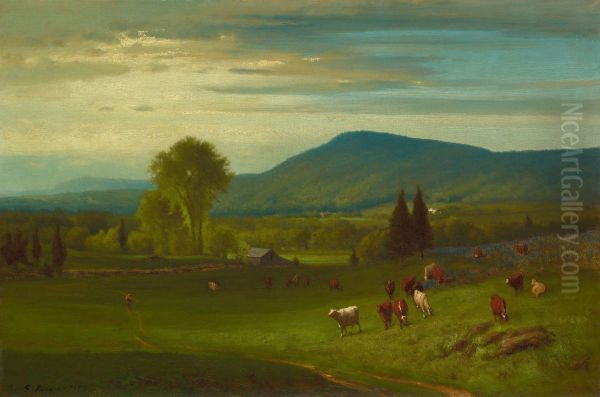 Summer in the Catskills - view 1