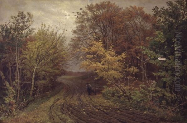 A road in Borrevejle Skov. October. - view 1