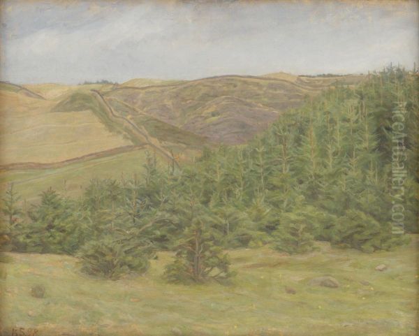 Svanninge Hills, Funen - view 1