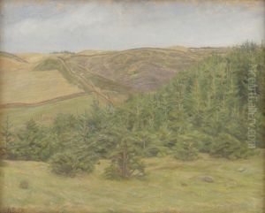 Svanninge Hills, Funen