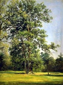 An Oak. View of the Garden at Worlitz near Dessau