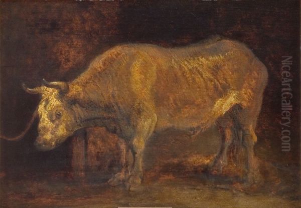 An Ox Standing - view 1