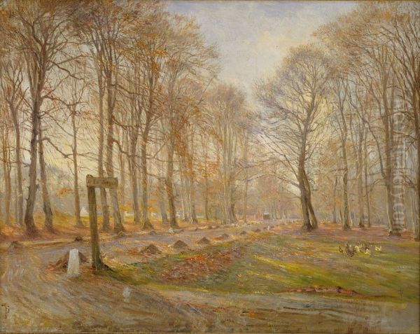 Late Autumn Day in the Jaegersborg Deer Park, North of Copenhagen - view 1