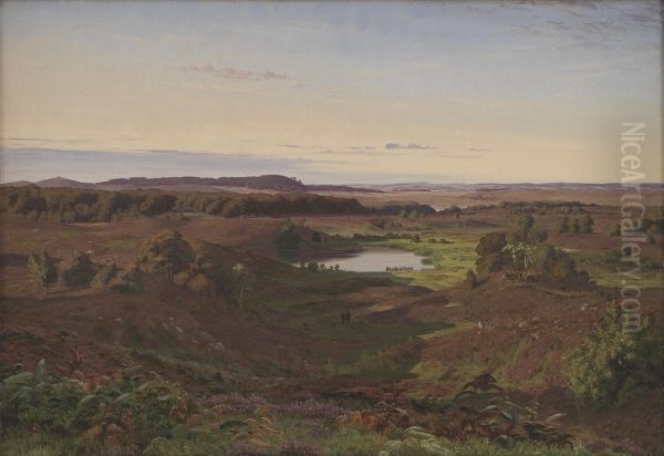 Landscape in the North of Zealand. Afternoon - view 1