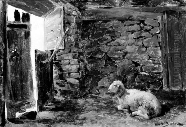 A Couching Sheep in a Stable - view 1