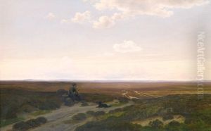 View of Parup Moors near Silkeborg, Jutland