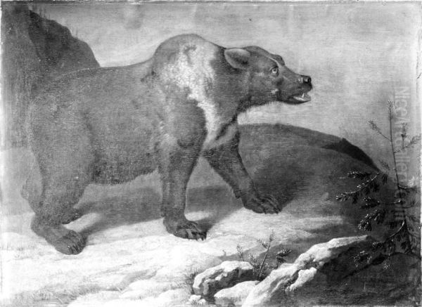 A Bear in a Winter Landscape - view 1
