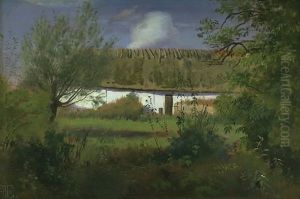 Farm Building in the Sun