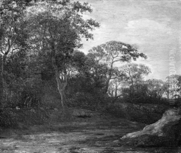 The Edge of the Wood - view 1