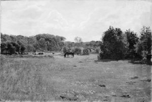 Meadow with a Black Horse Grazing by Lorenz Frolich