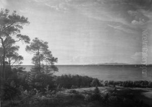 View from the North Coast of Sealand towards Kullen in Sweden. Summer Evening by P. C. Skovgaard